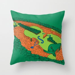 Fiddler's Green Throw Pillow