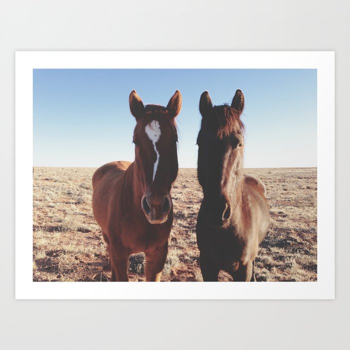 Horse Friends Art Print