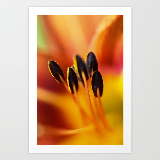 Orange Detail (lily) Art Print