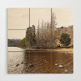 Loch an Eilein Spring Pine Trees in Afterglow Wood Wall Art
