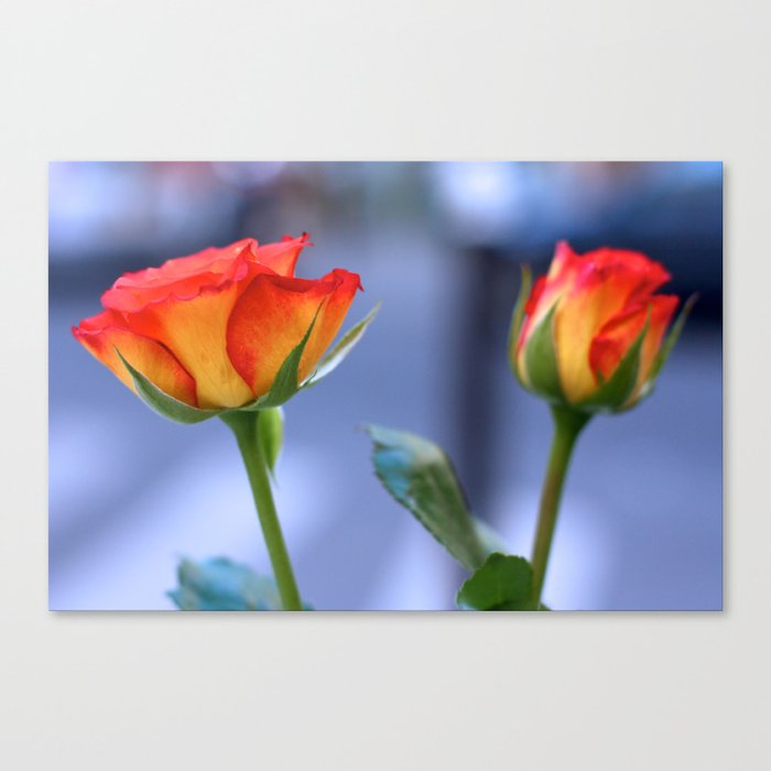 "Love planted a rose and the world turned sweet" Canvas Print