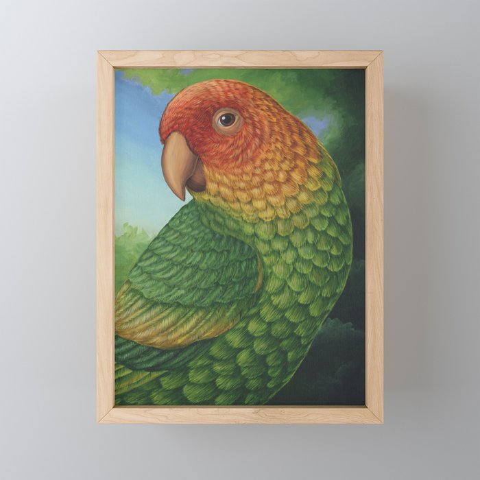 Carolina Parakeet (Conuropsis carolinensis) Framed Mini Art Print