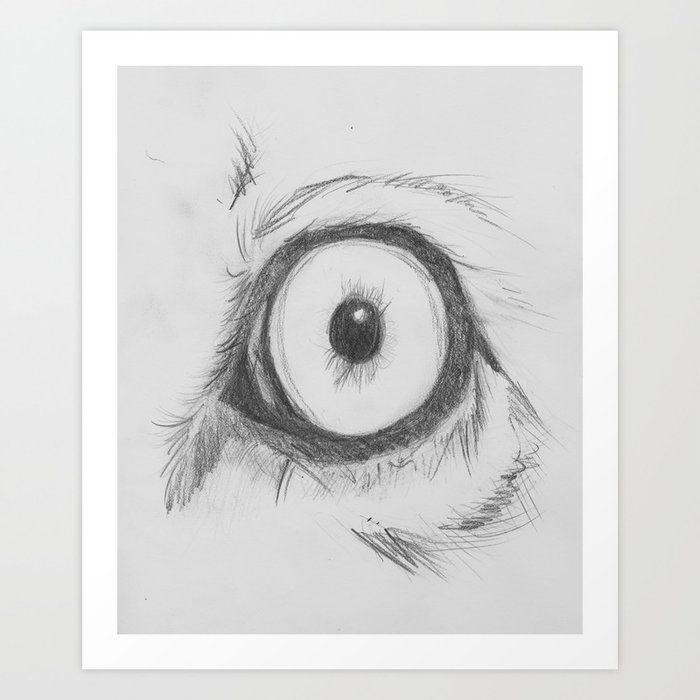 Cats Eye (lion) Art Print