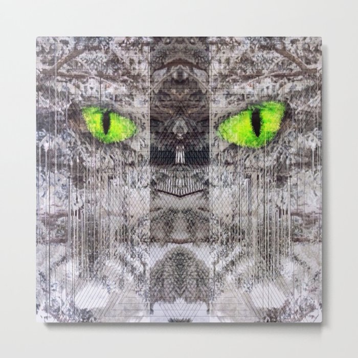 Cat Eyez Metal Print
