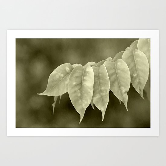 The curtain Art Print