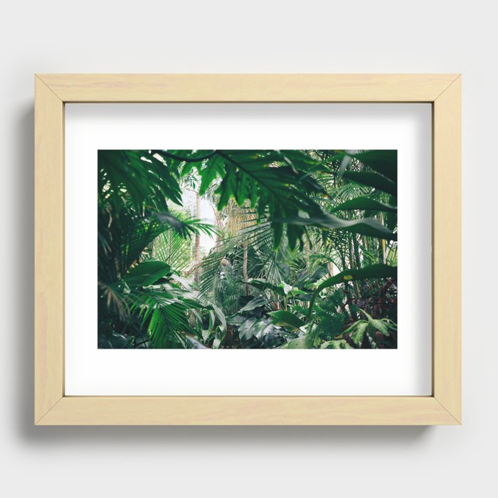 jungle Recessed Framed Print