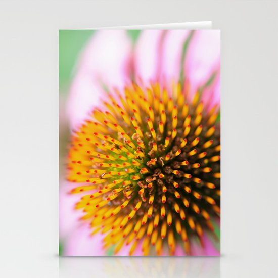 Coneflower Stationery Cards