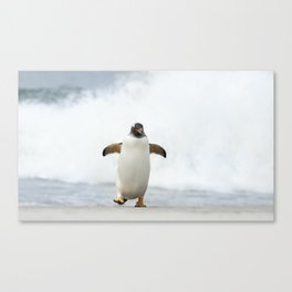 Joyful Gentoo penguin on a beach  Canvas Print