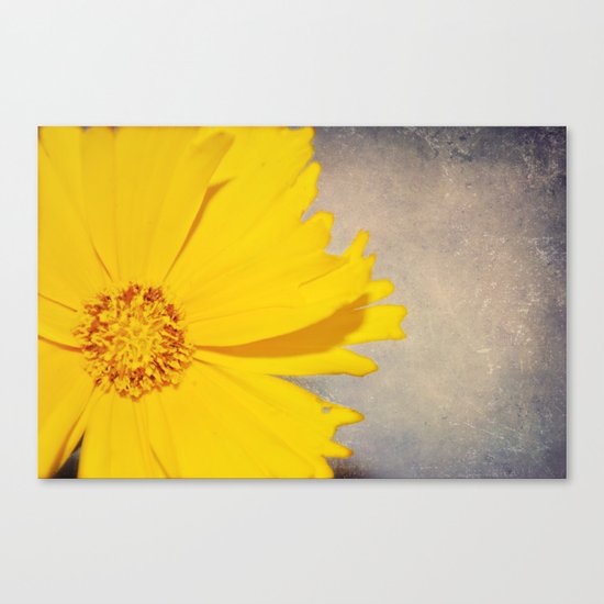 Yellow Canvas Print