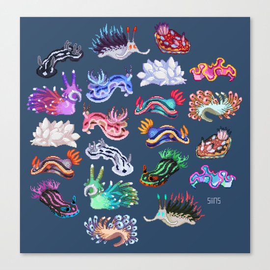 Nudibranch Canvas Print
