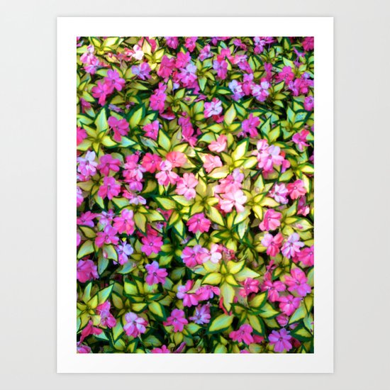 Flowers Flowers Flowers Art Print