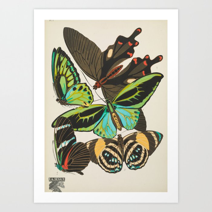 Butterfly and Moth Print by E.A. Seguy, 1920s #19 Art Print