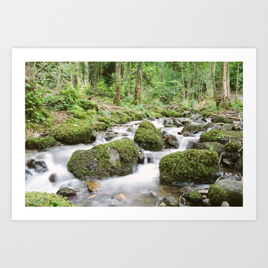 Windermere Creek Art Print