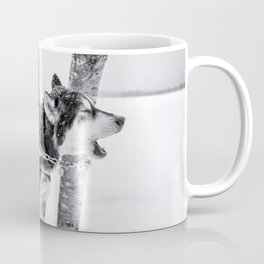 Snow Dogs | Northern Minnesota | Photography Coffee Mug