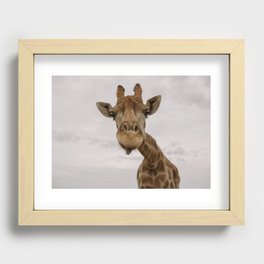 hey love! | my favorite safari animal | giraffe in Stellenbosch South Africa | photography print Recessed Framed Print