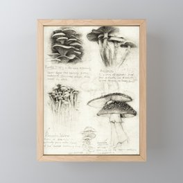 Mushrooms Framed Mini Art Print