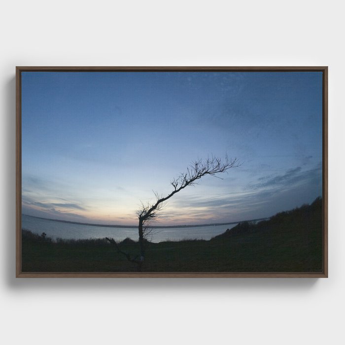 Windblown Tree Framed Canvas