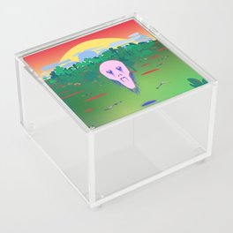 the protector Acrylic Box