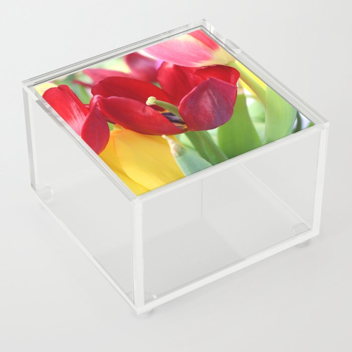 red and yellow tulips Acrylic Box