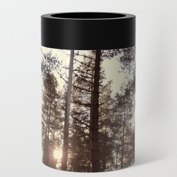 Pine Tree Canopy with Winter Sun in Old  Can Cooler