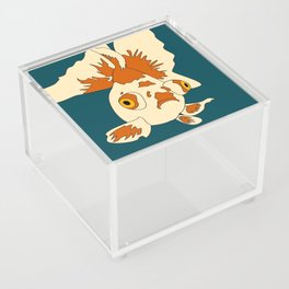 Orange and Cream Butterfly Telescope Goldfish Acrylic Box