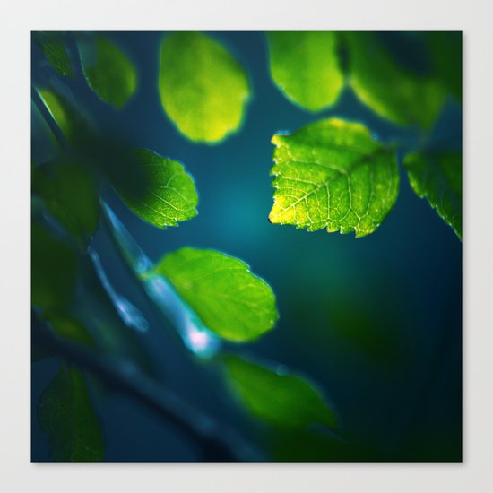 Nature Blues Canvas Print