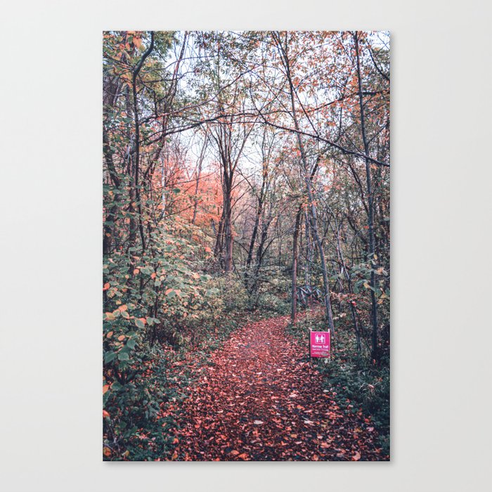 Forest Trail #2 Canvas Print