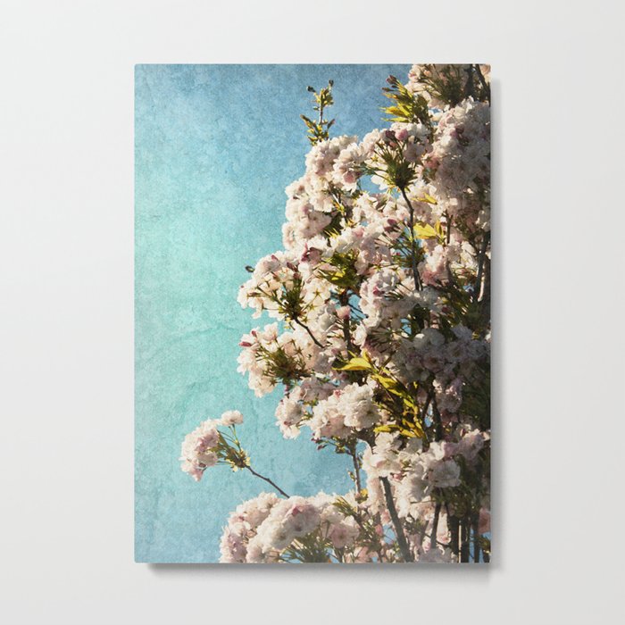 Cherry Blossom Blue Sky Metal Print