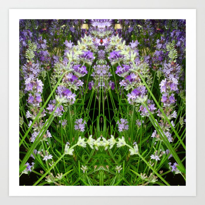The Lavender Arch Art Print