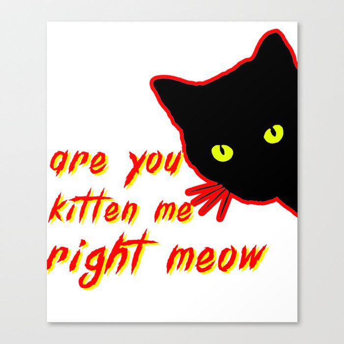 Are You Kitten me Right meow Canvas Print