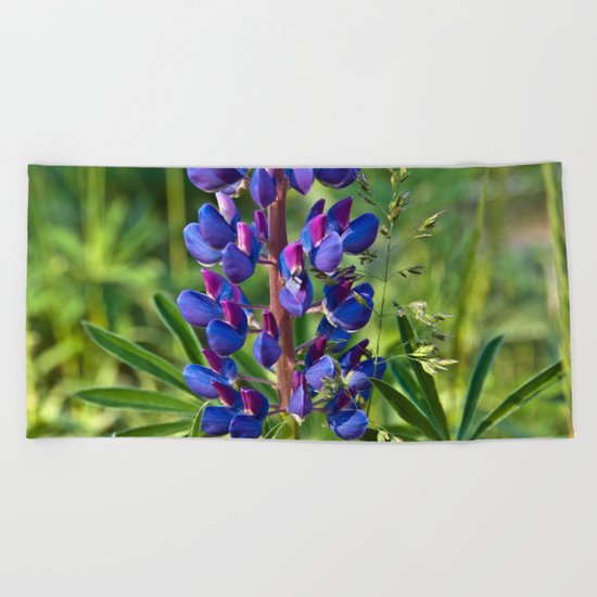 Summer Meadow with Blue Lupine Beach Towel