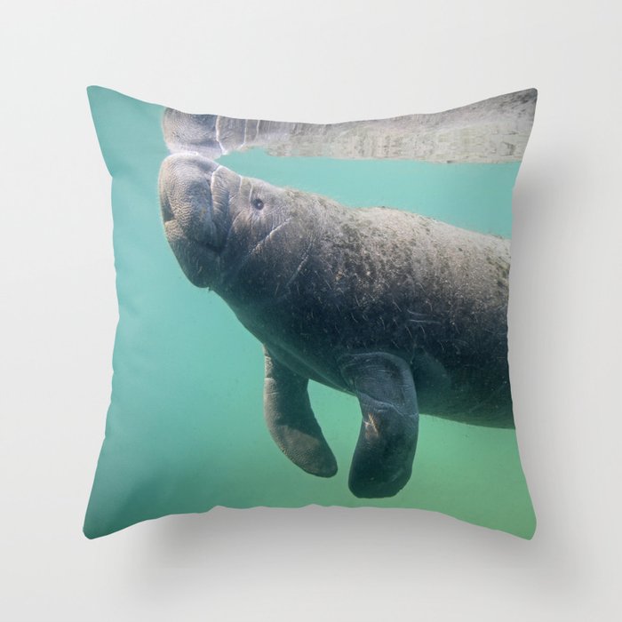 manatee body pillow
