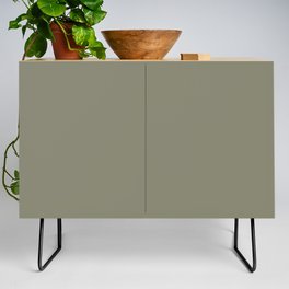 Dark Green Gray Solid Color Pairs PPG Seaweed Wrap PPG1031-5 - All One Single Shade Hue Colour Credenza