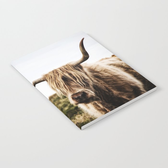 Highland Cow - color Notebook