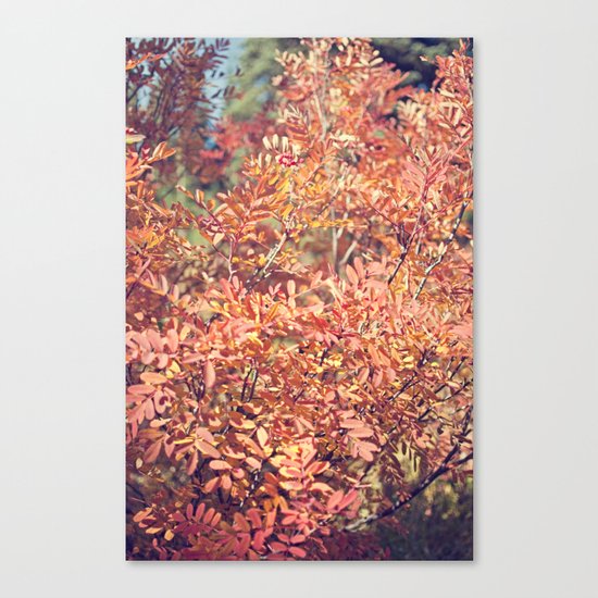 Red Fall Canvas Print