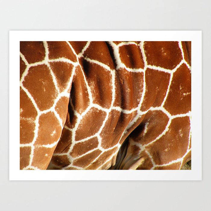 Giraffe Skin Close-up Art Print