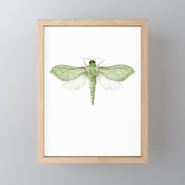 Pepe Tuna / Puriri Moth Framed Mini Art Print