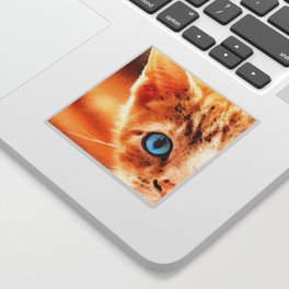 Peek A Boo Orange Tabby Cat With Blue Eyes Sticker