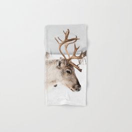 Reindeer with Antlers In Snow | Norway Tromsø Winter Art Print | Arctic Animal Travel Photography Hand & Bath Towel