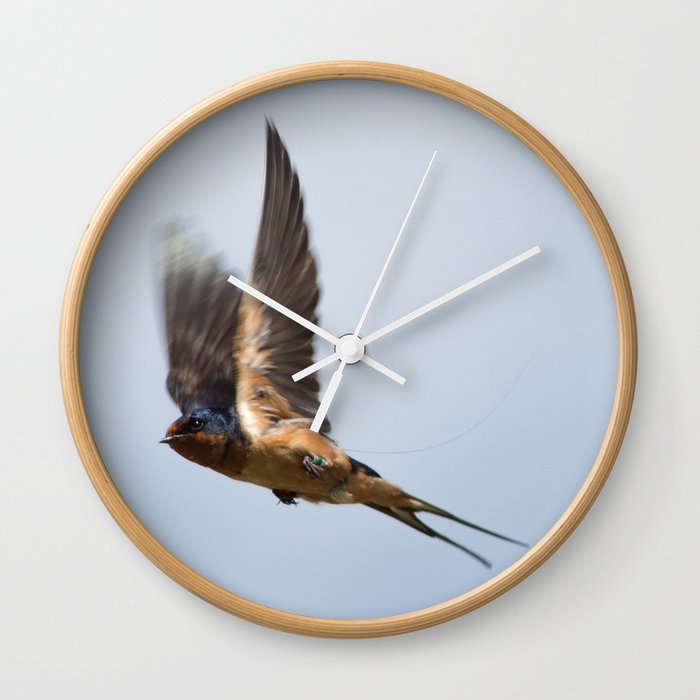 Male Barn Swallow In Flight Wall Clock By Mattwilkins Society6