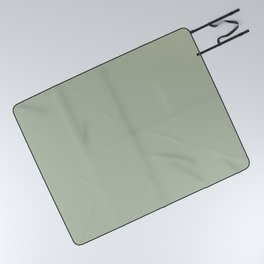 Mellow Sage Green Solid Color Pairs To Benjamin Moore Salisbury Green HC-139 Picnic Blanket