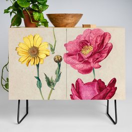 A Sheet of Studies with French Roses and an Oxeye Daisy Credenza