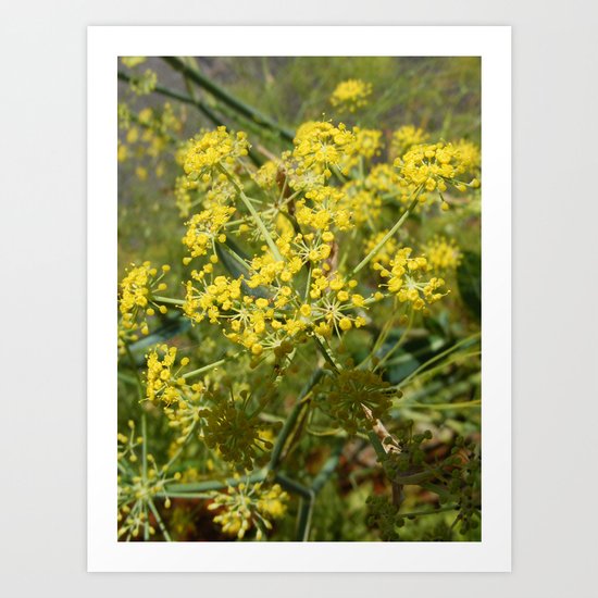 Yellow Spray Art Print