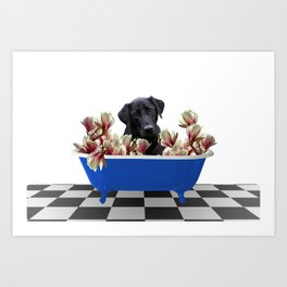 Black Labrador Dog - Blue Bathtub - Magnolia Flowers Art Print
