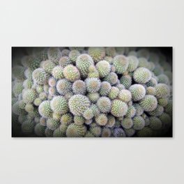 Cactus obsession spikes Joy Canvas Print