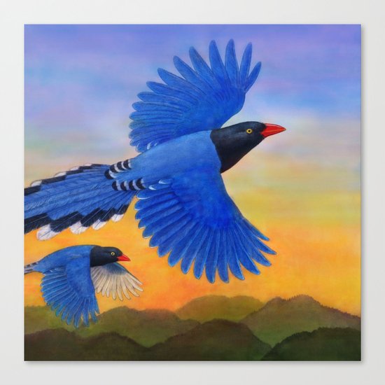Taiwan Blue Magpie(1) Canvas Print
