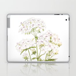 white sweet William  ink and watercolor painting Laptop Skin
