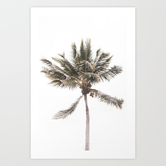 Tropical Beach Palm #1 #tropical #wall #art #society6 Art Print