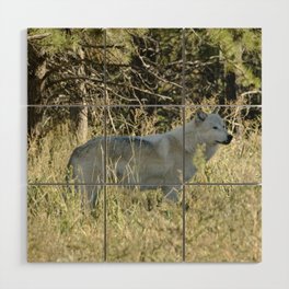 Wolf Wood Wall Art