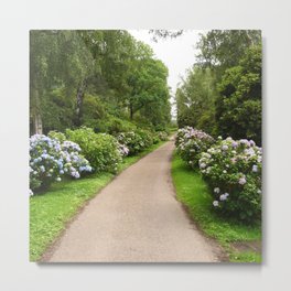 Great Britain Photography - Beautiful Trail Going Through The Park Metal Print